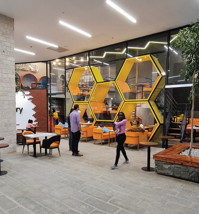 The Library
